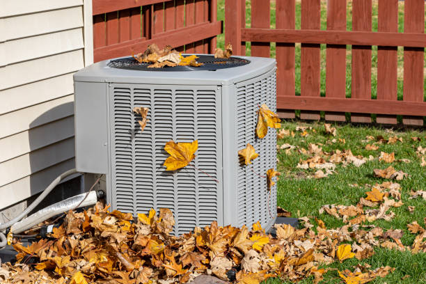 Best HVAC tune-up services  in Forest Oaks, NC
